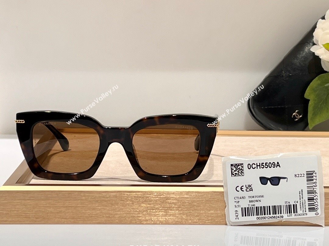 Chanel Sunglasses CH5509A 42 2024 (A-24061442)