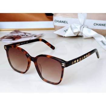 Chanel Sunglasses CH0531 Brown 2024 (A-24061388)