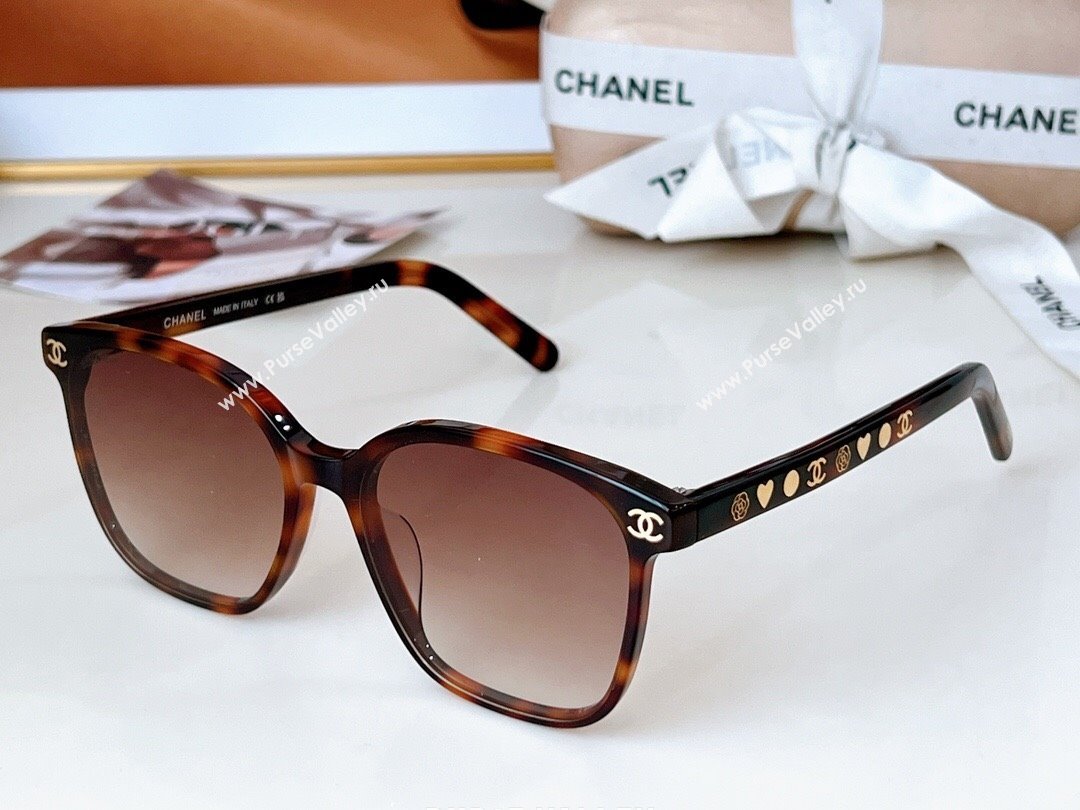 Chanel Sunglasses CH0531 Brown 2024 (A-24061388)