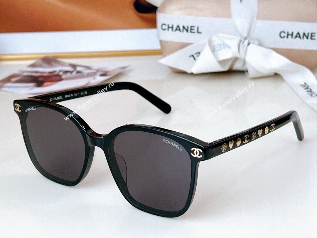 Chanel Sunglasses CH0531 Black 2024 (A-24061390)