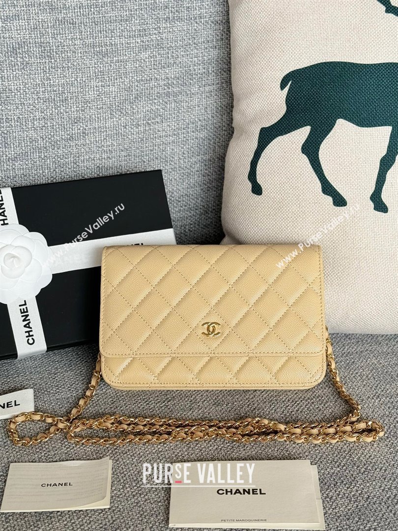 Chanel Grained Calfskin Classic Wallet on Chain WOC Gold/Beige 2024 (MHUI-241504)