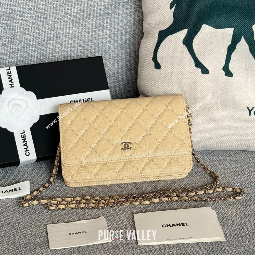 Chanel Grained Calfskin Classic Wallet on Chain WOC Silver/Beige 2024 (MHUI-241505)