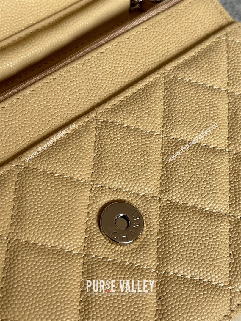 Chanel Grained Calfskin Classic Wallet on Chain WOC Silver/Beige 2024 (MHUI-241505)