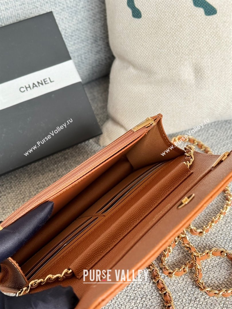 Chanel Grained Calfskin Classic Wallet on Chain WOC Gold/Brown 2024 (MHUI-241509)