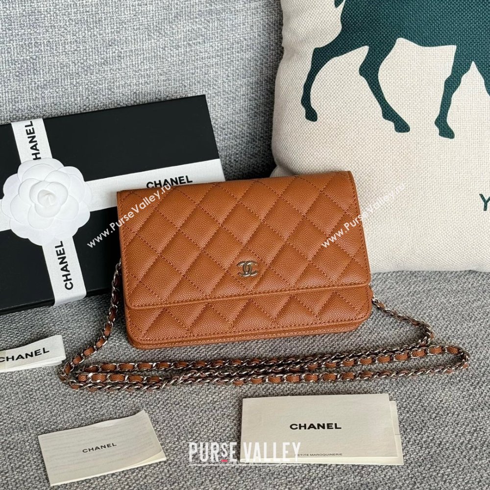 Chanel Grained Calfskin Classic Wallet on Chain WOC Silver/Brown 2024 (MHUI-241510)