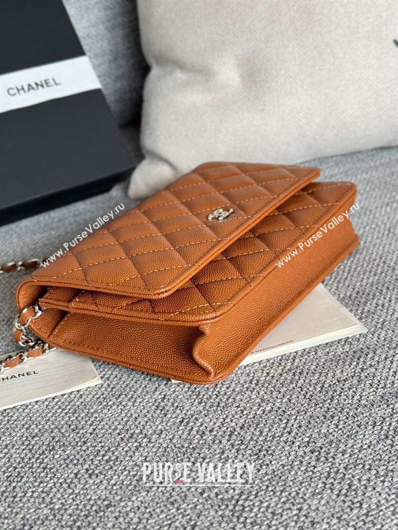 Chanel Grained Calfskin Classic Wallet on Chain WOC Silver/Brown 2024 (MHUI-241510)