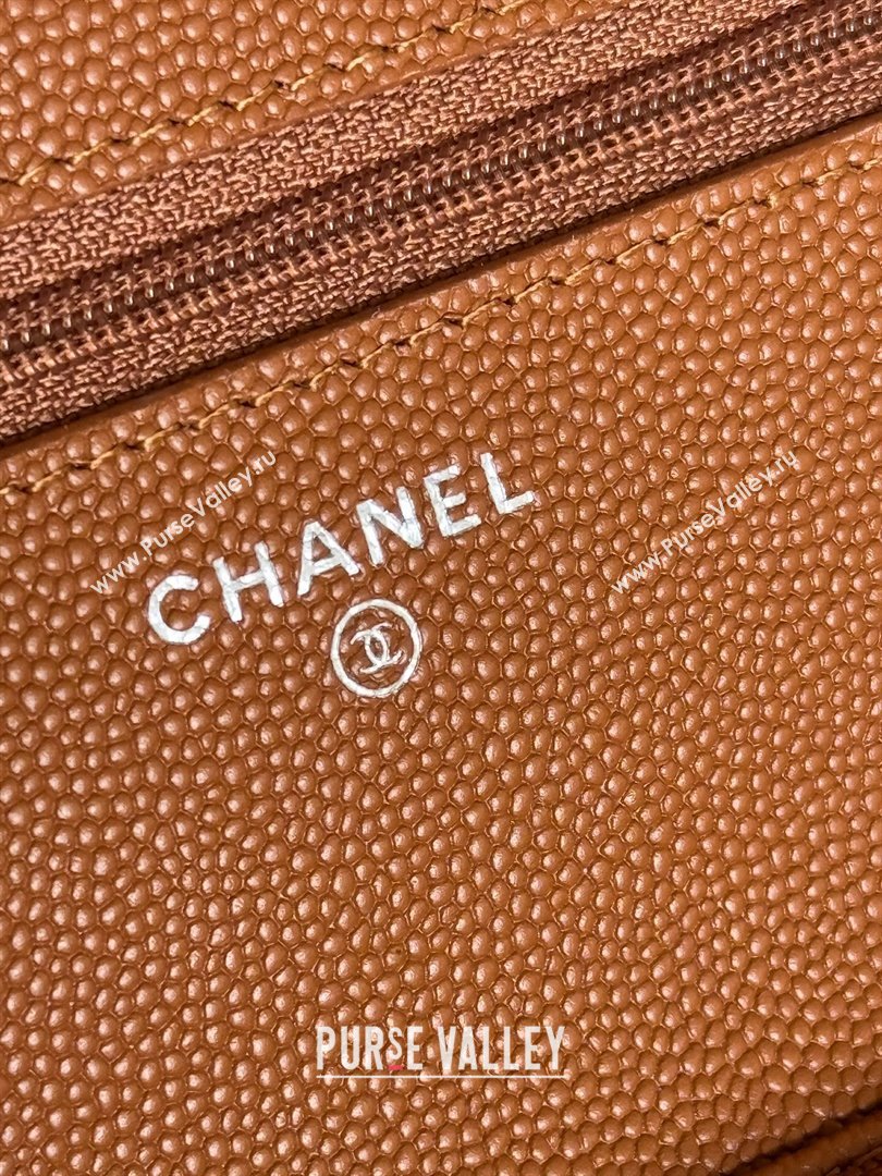 Chanel Grained Calfskin Classic Wallet on Chain WOC Silver/Brown 2024 (MHUI-241510)