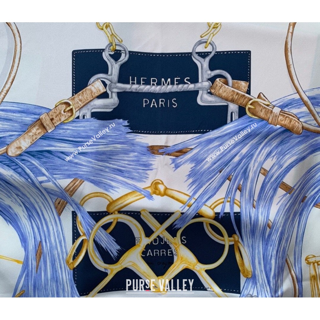 Hermes Sketch Twilly Silk Square Scarf 90x90cm Blue 2021 (WNS-21081801)