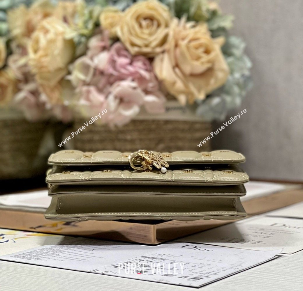 Dior Miss Dior Top Handle Bag with Gold-Finish Butterfly Studs Beige 2024 (DMZ-241808)