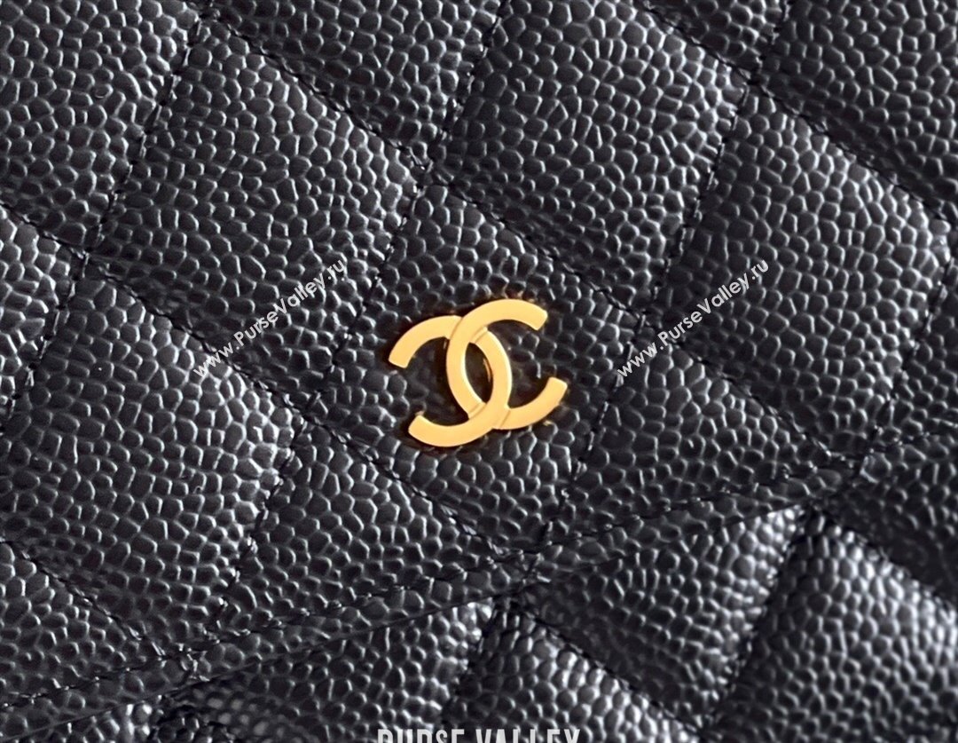 Chanel Grained Calfskin Classic Wallet on Chain WOC Black/Gold 2024 Top Quality (MHE-24080933)