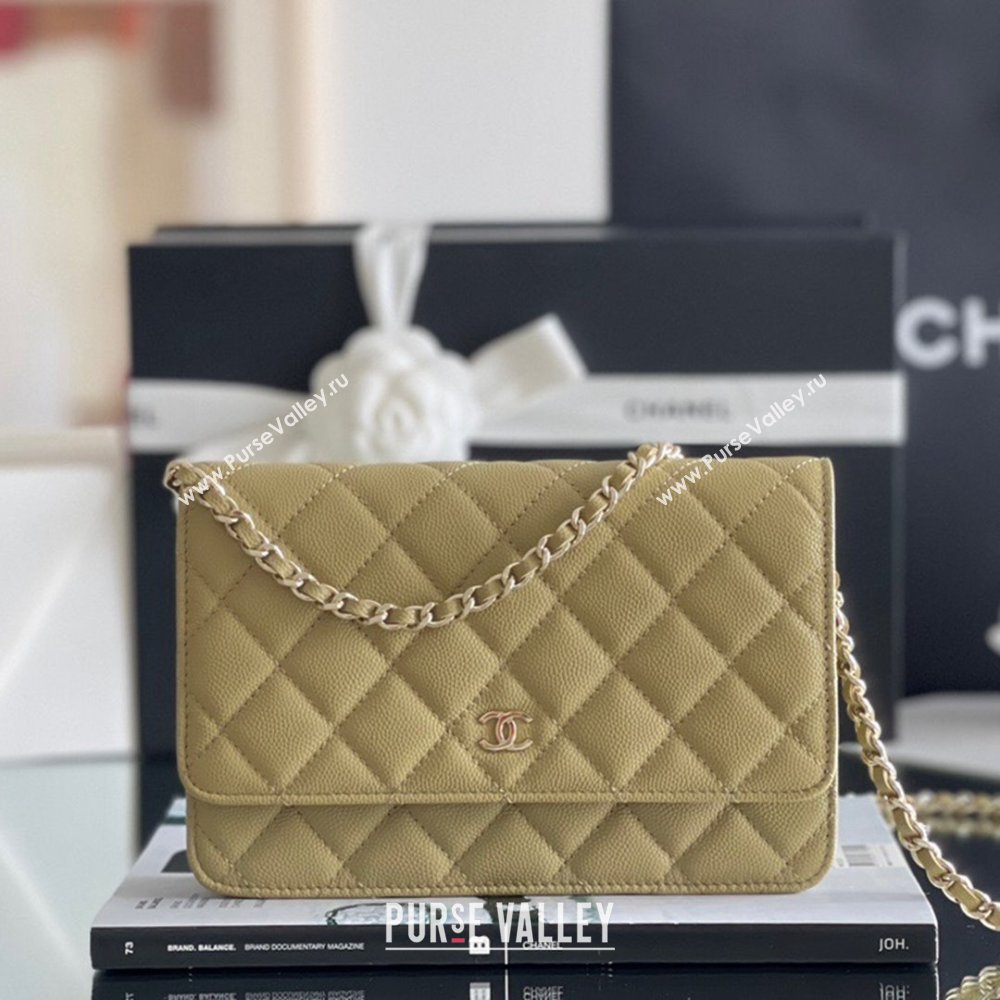 Chanel Grained Calfskin Classic Wallet on Chain WOC Avocado Green/Light Gold 2024 Top Quality (MHE-24080934)