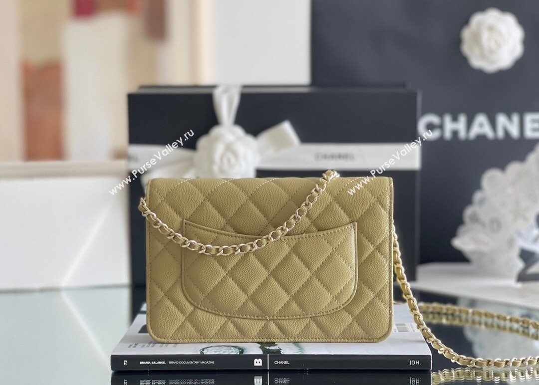 Chanel Grained Calfskin Classic Wallet on Chain WOC Avocado Green/Light Gold 2024 Top Quality (MHE-24080934)