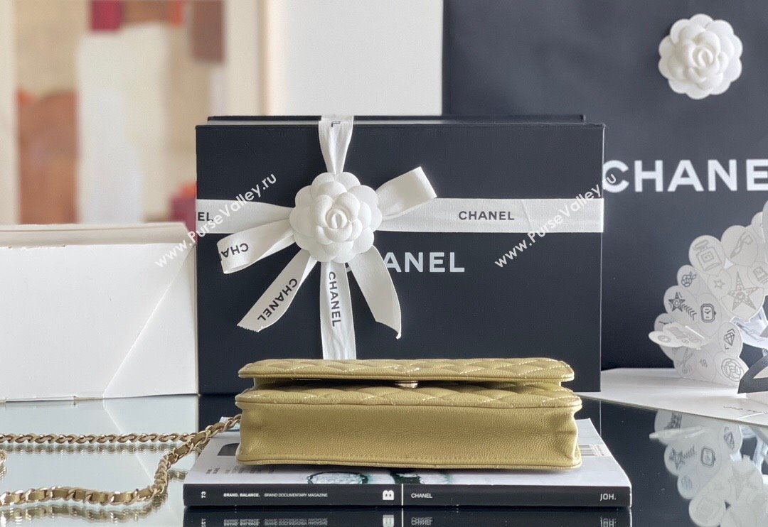 Chanel Grained Calfskin Classic Wallet on Chain WOC Avocado Green/Light Gold 2024 Top Quality (MHE-24080934)