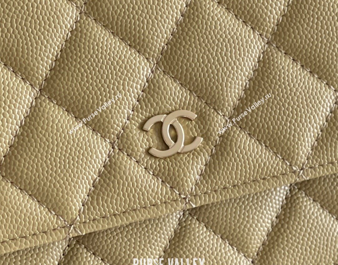 Chanel Grained Calfskin Classic Wallet on Chain WOC Avocado Green/Light Gold 2024 Top Quality (MHE-24080934)