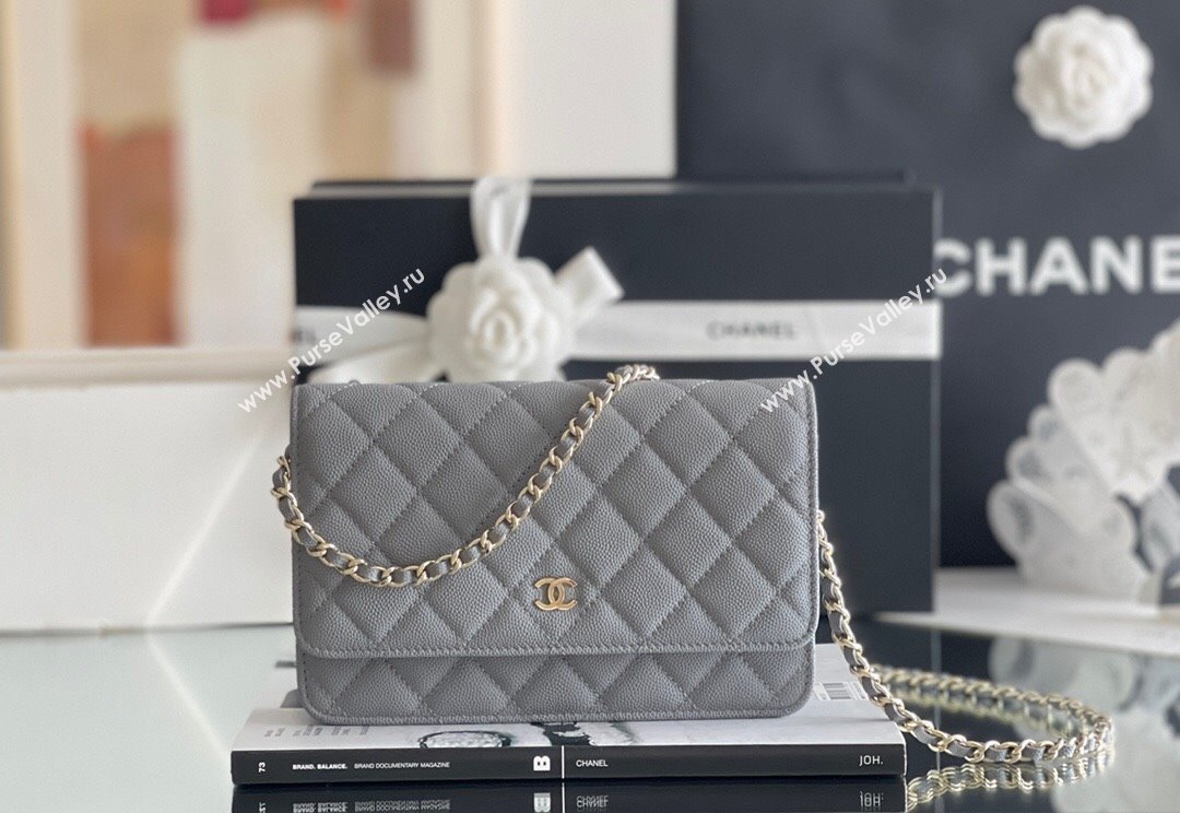 Chanel Grained Calfskin Classic Wallet on Chain WOC Grey/Light Gold 2024 Top Quality (MHE-24080939)