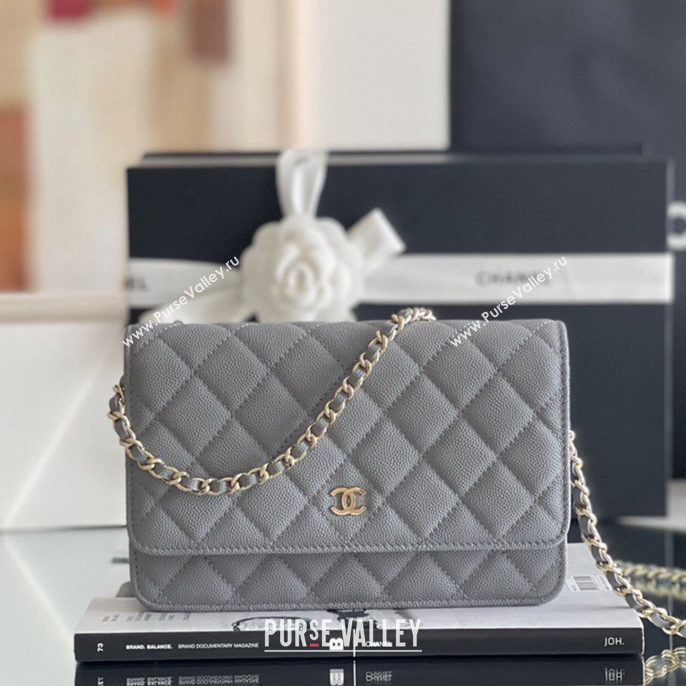 Chanel Grained Calfskin Classic Wallet on Chain WOC Grey/Light Gold 2024 Top Quality (MHE-24080939)