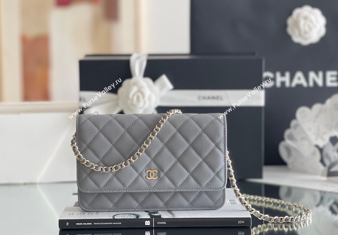 Chanel Grained Calfskin Classic Wallet on Chain WOC Grey/Light Gold 2024 Top Quality (MHE-24080939)