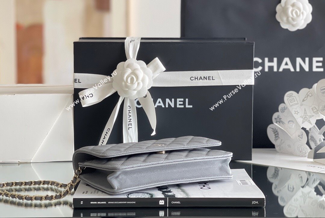 Chanel Grained Calfskin Classic Wallet on Chain WOC Grey/Light Gold 2024 Top Quality (MHE-24080939)