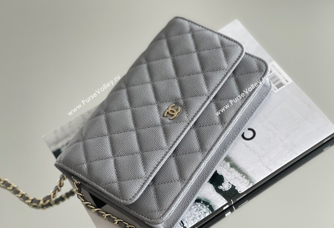 Chanel Grained Calfskin Classic Wallet on Chain WOC Grey/Light Gold 2024 Top Quality (MHE-24080939)