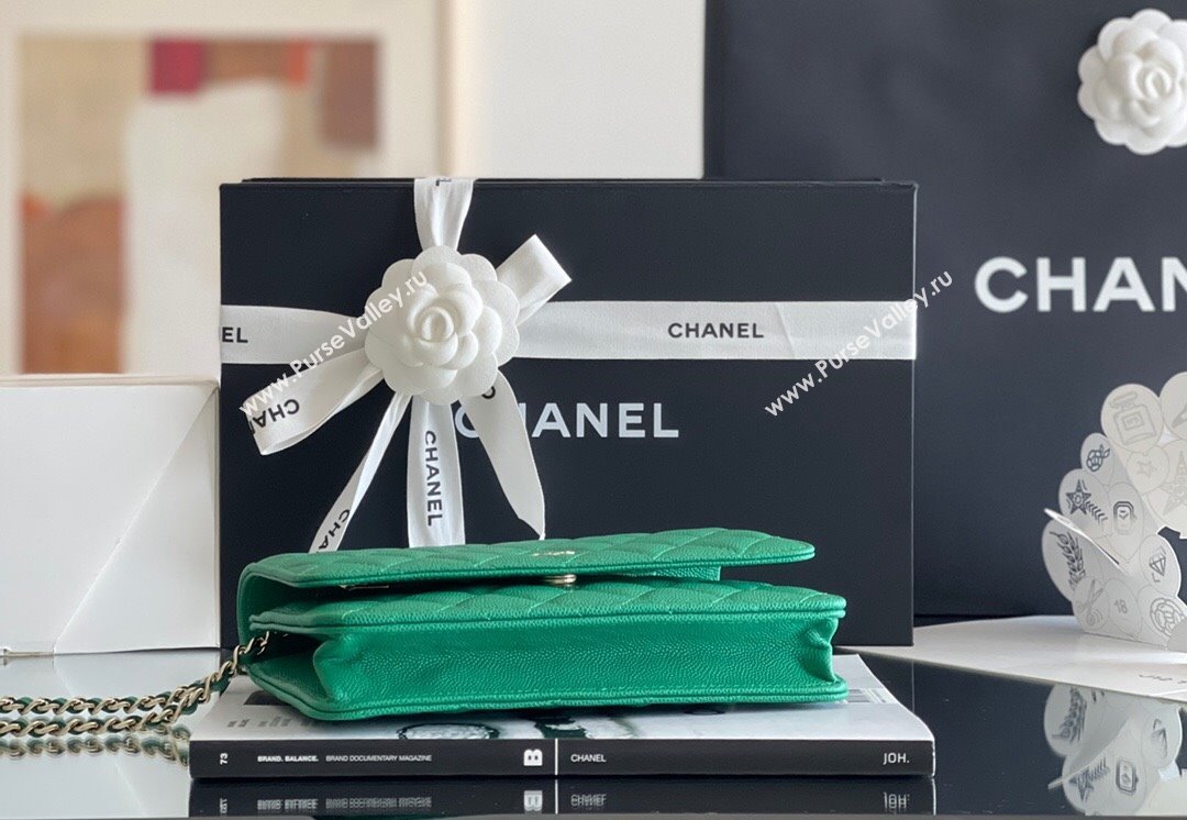 Chanel Grained Calfskin Classic Wallet on Chain WOC Green/Light Gold 2024 Top Quality (MHE-24080940)