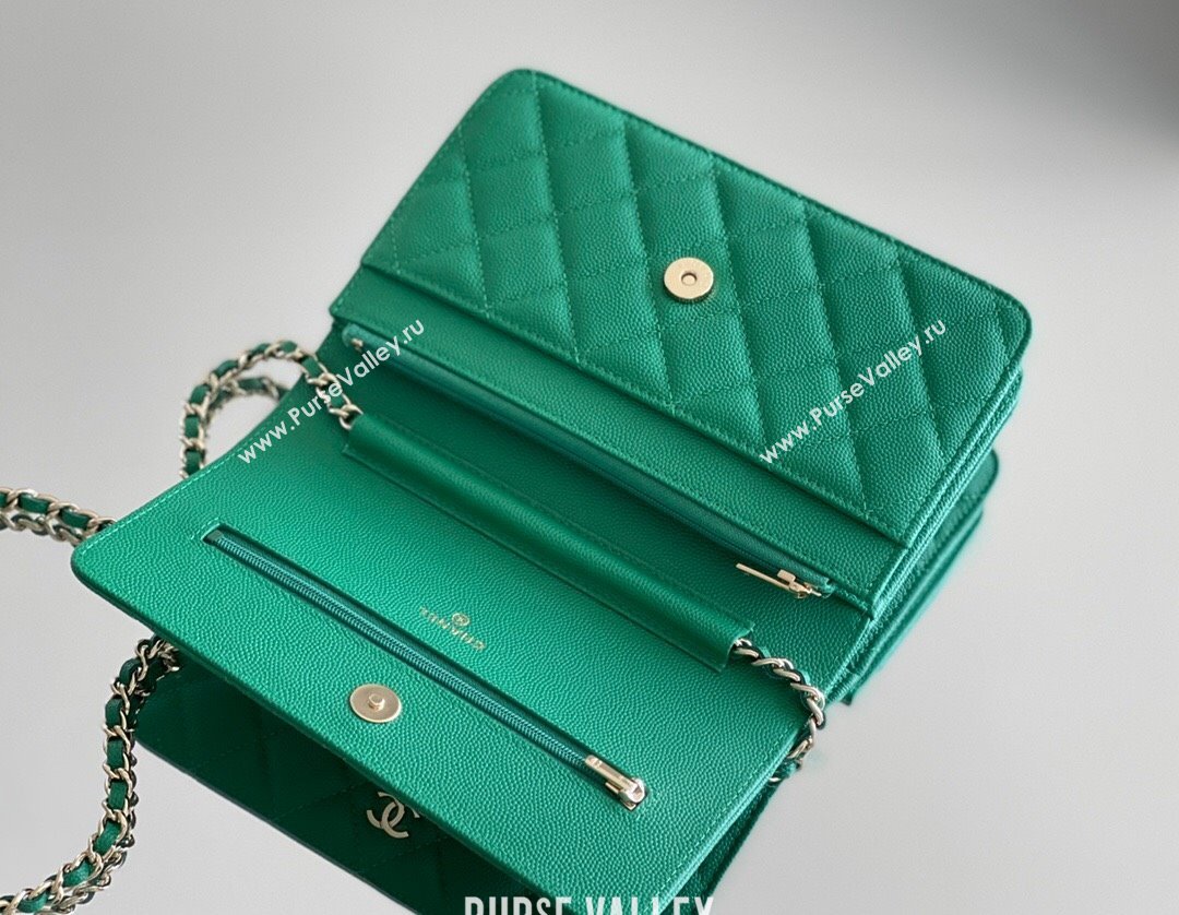 Chanel Grained Calfskin Classic Wallet on Chain WOC Green/Light Gold 2024 Top Quality (MHE-24080940)