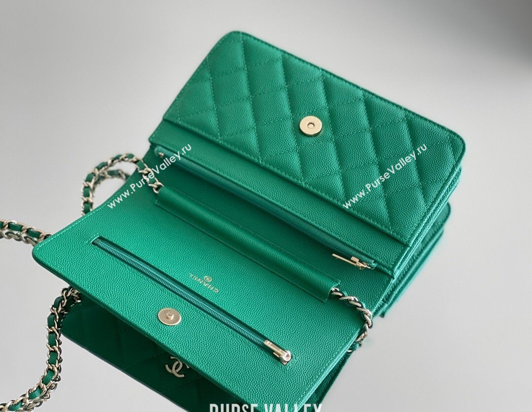 Chanel Grained Calfskin Classic Wallet on Chain WOC Green/Light Gold 2024 Top Quality (MHE-24080940)