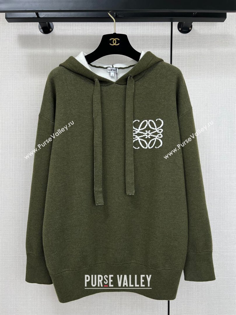 Loewe Wool Sweater L11313 Green 2024 (Q-2411313)