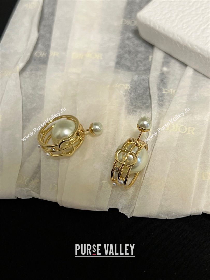 Dior Tribales Earrings D62729 Gold 2024 (YF-24062729)