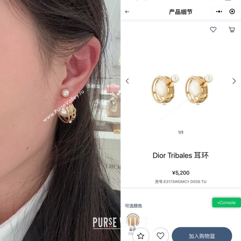 Dior Tribales Earrings D62729 Gold 2024 (YF-24062729)