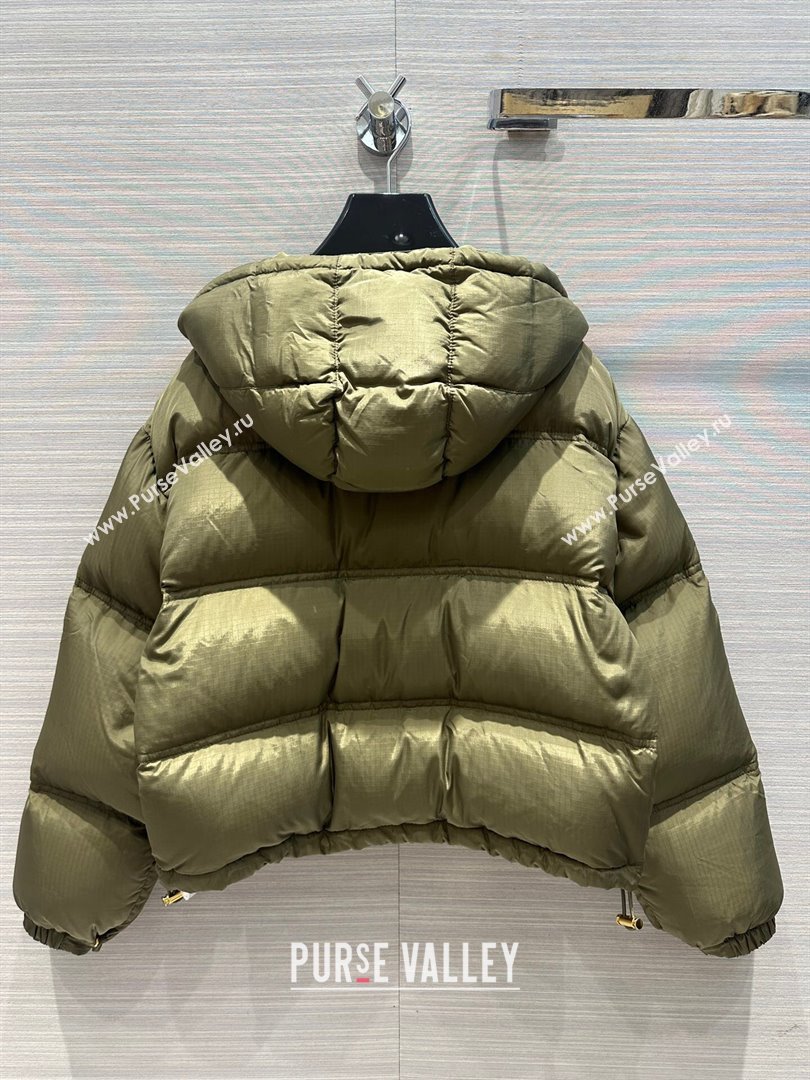 Celine Down Jacket C11229 Green 2024 (Q-2411229)