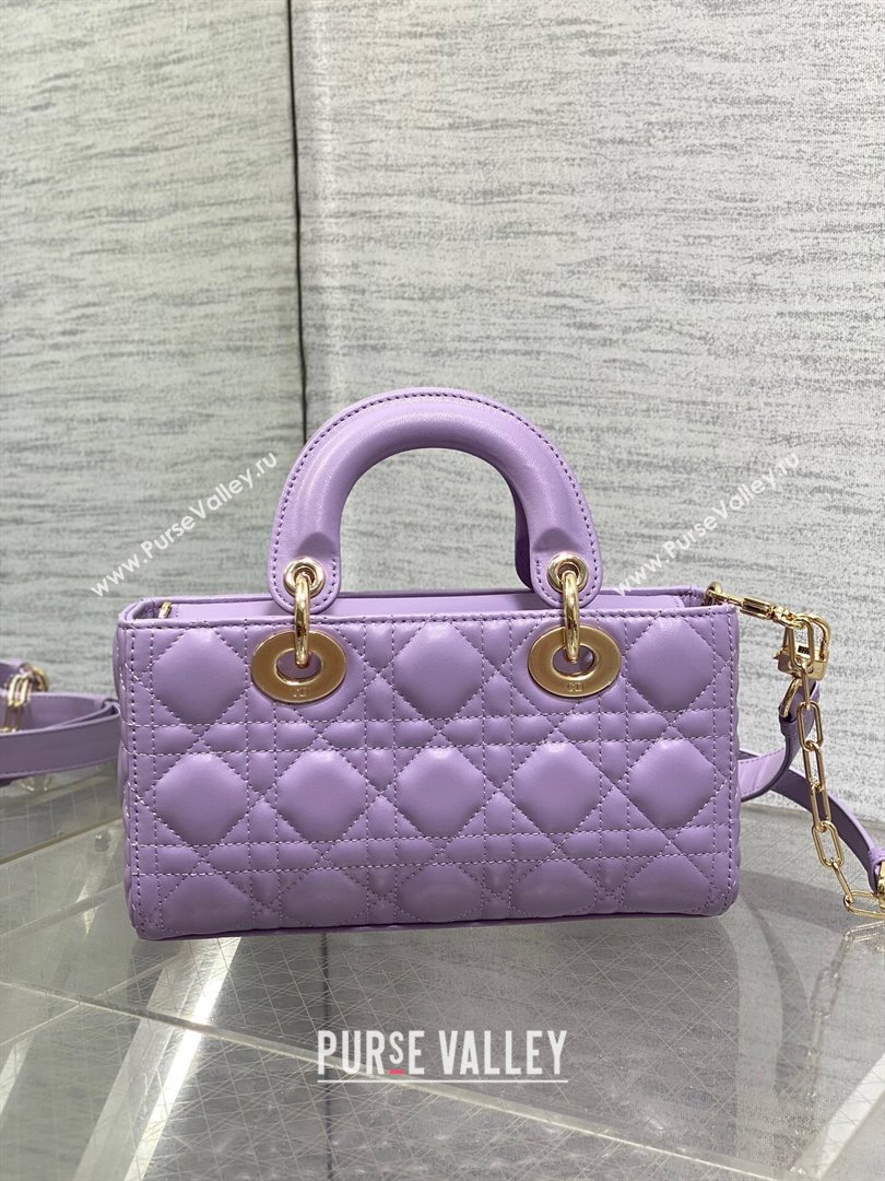 Dior Small Lady D-Joy Bag in Two-Tone Cannage Lambskin 0540 Purple 2024 (XXG-24081419)