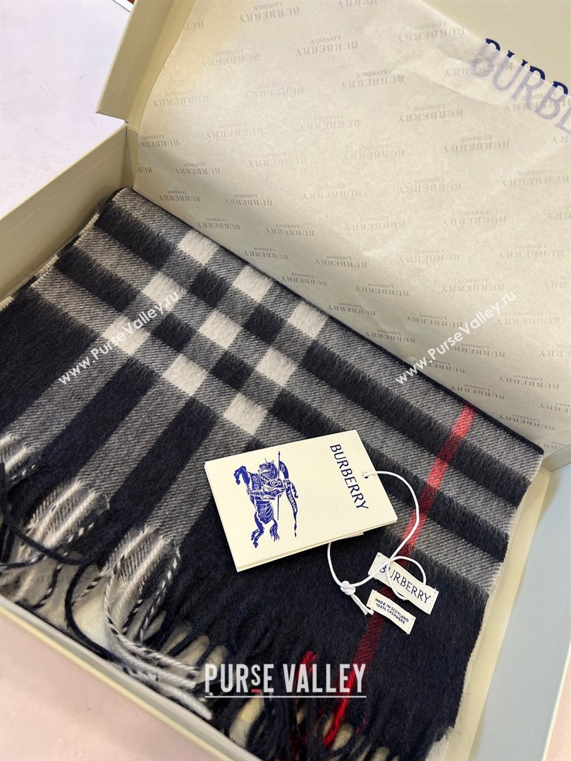 Burberry Check Cashmere Scarf B112511 Deep Blue 2024 Top Quality (O-24112511)