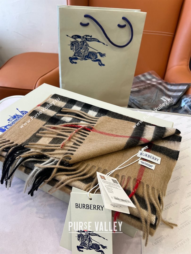 Burberry Check Cashmere Scarf B112510 Khaki 2024 Top Quality (O-24112510)