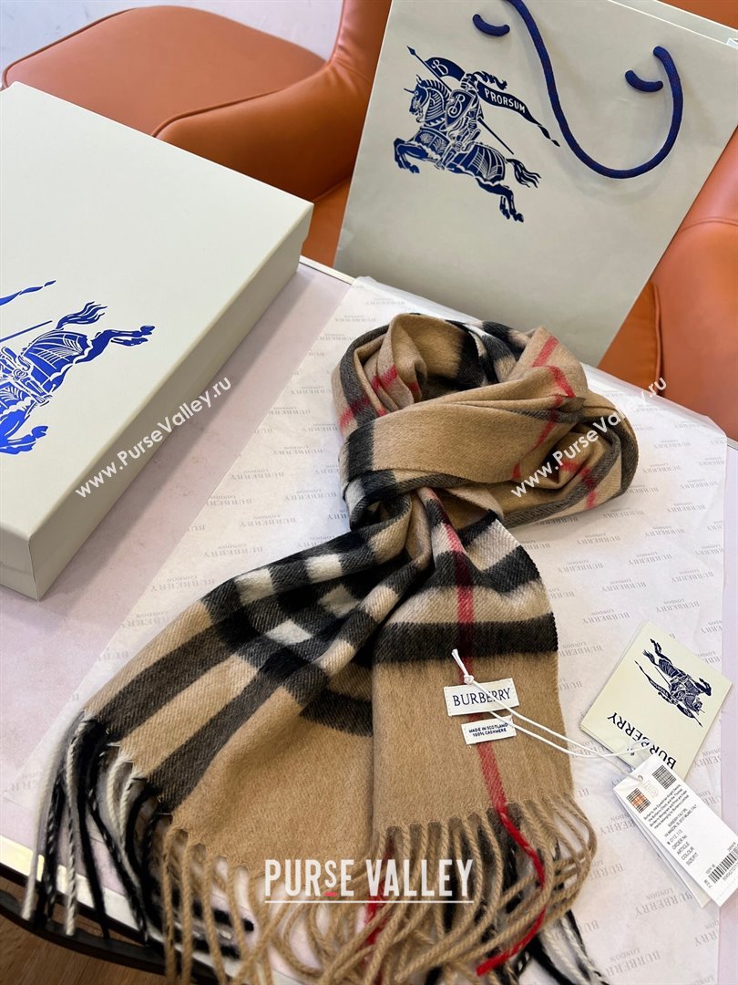 Burberry Check Cashmere Scarf B112510 Khaki 2024 Top Quality (O-24112510)