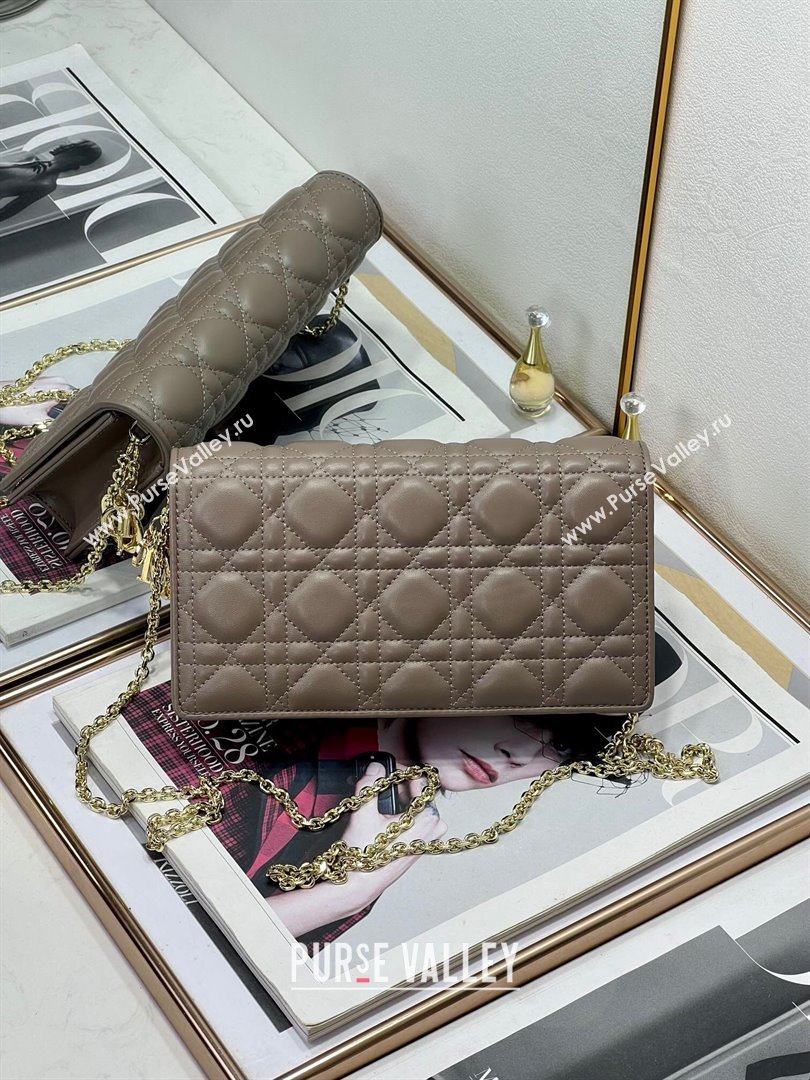 Dior Lady Dior Pouch in Metallic Leather M81B Taupe 2024 (XXG-24081516)