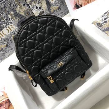 Dior Small Backpack in Black Cannage Lambskin 2021 M9221 (XXG-21080332)