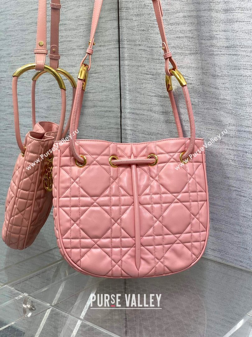 Dior Medium Dior Nolita Bag in Pink Macrocannage Lambskin 2024 (XXG-24081424)