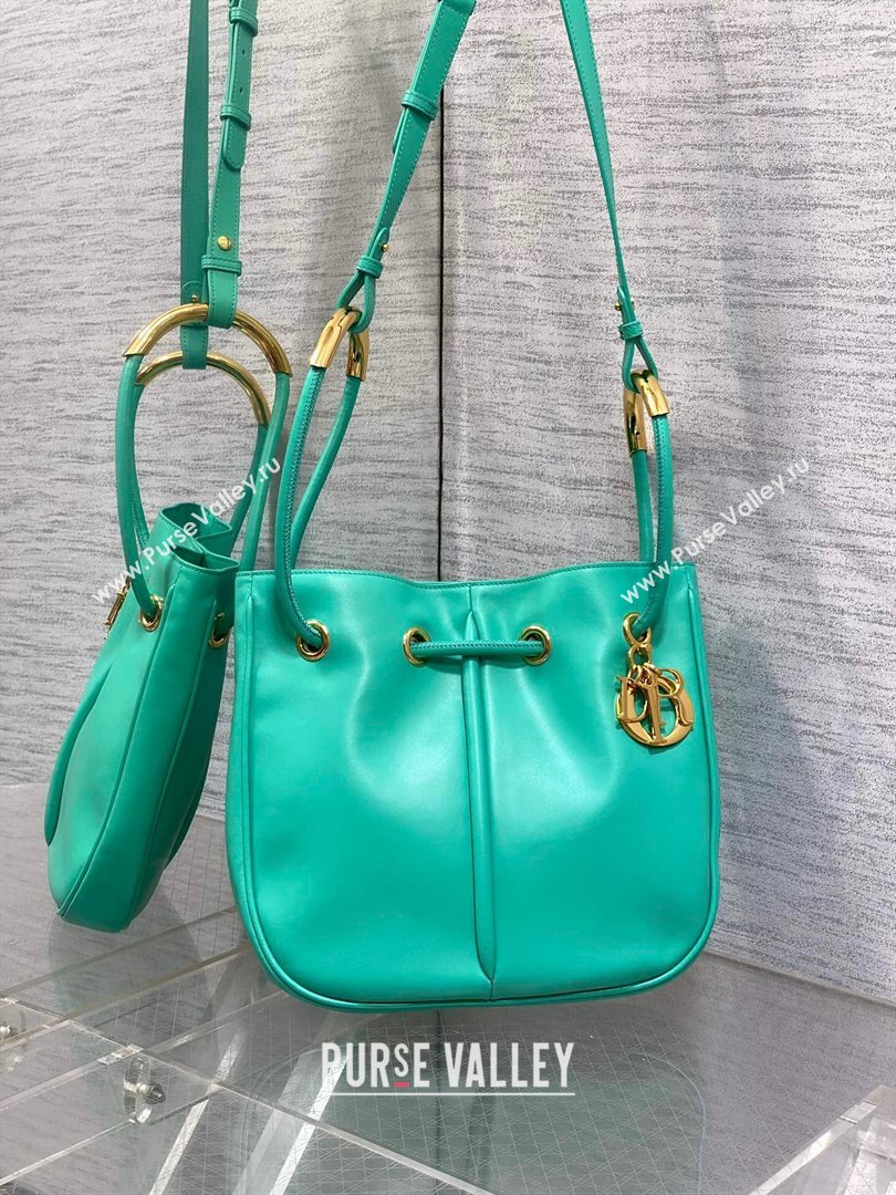 Dior Dioriviera Medium Dior Nolita Bag in Green Calfskin 2024 (XXG-24081427)