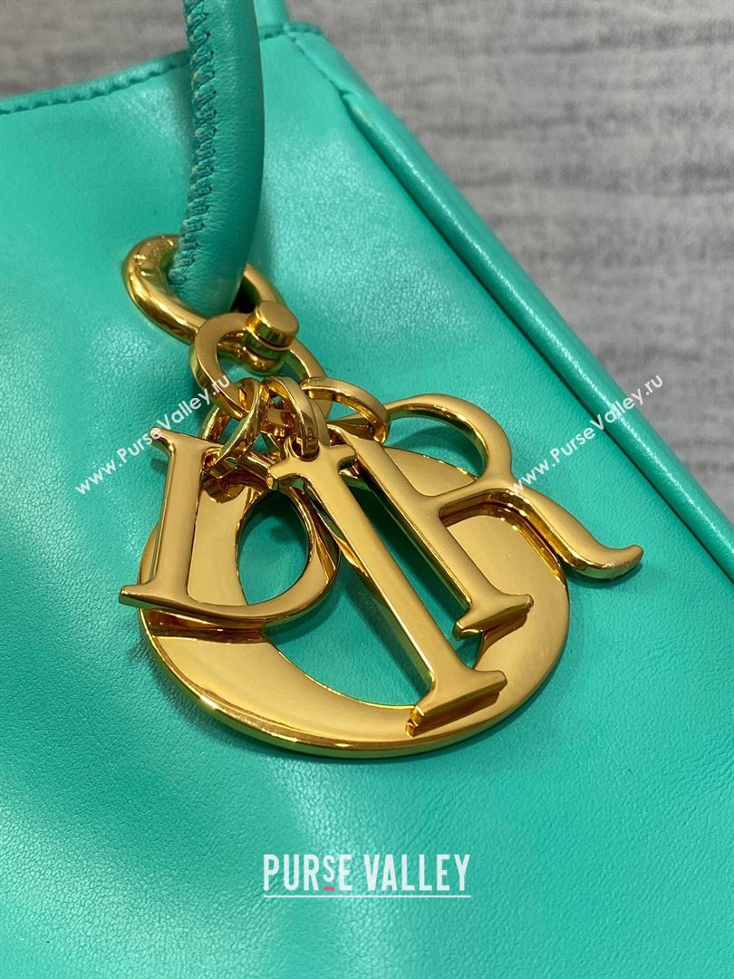 Dior Dioriviera Medium Dior Nolita Bag in Green Calfskin 2024 (XXG-24081427)