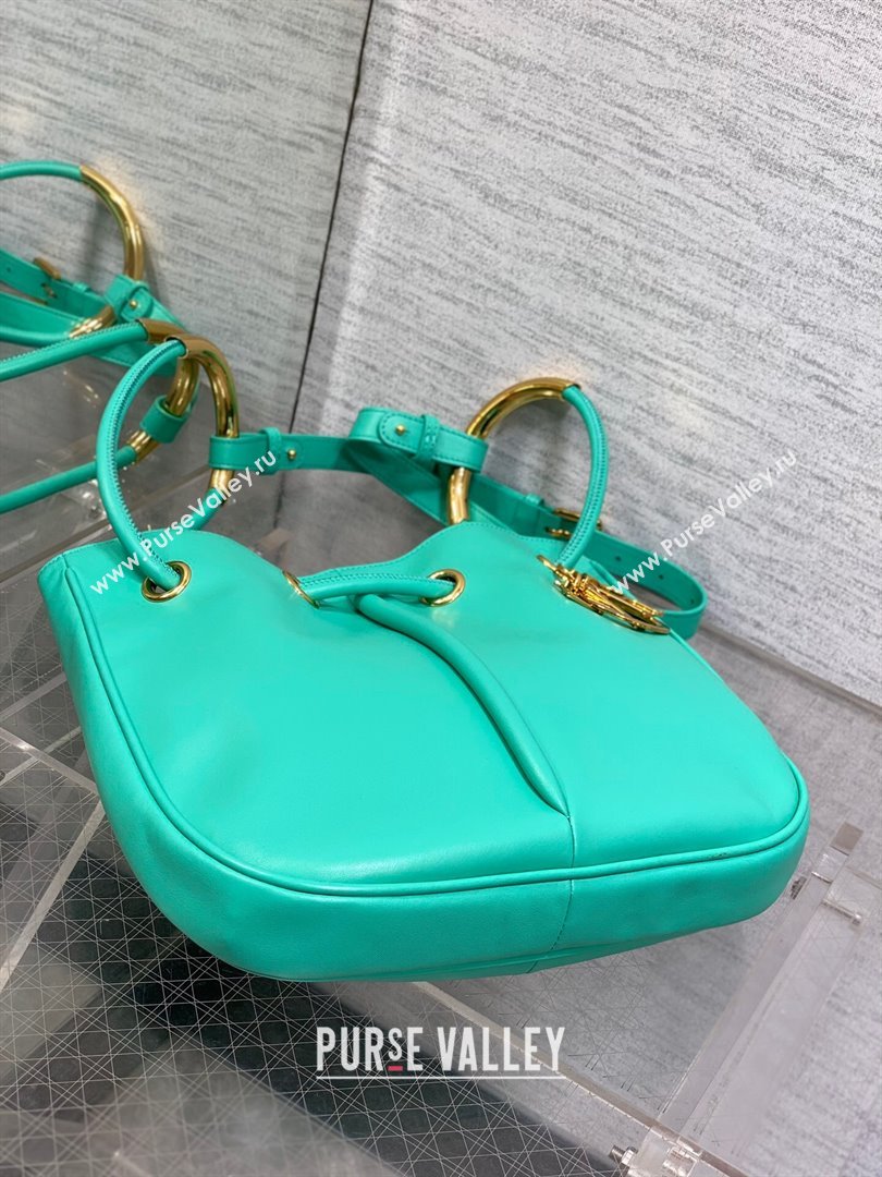 Dior Dioriviera Medium Dior Nolita Bag in Green Calfskin 2024 (XXG-24081427)