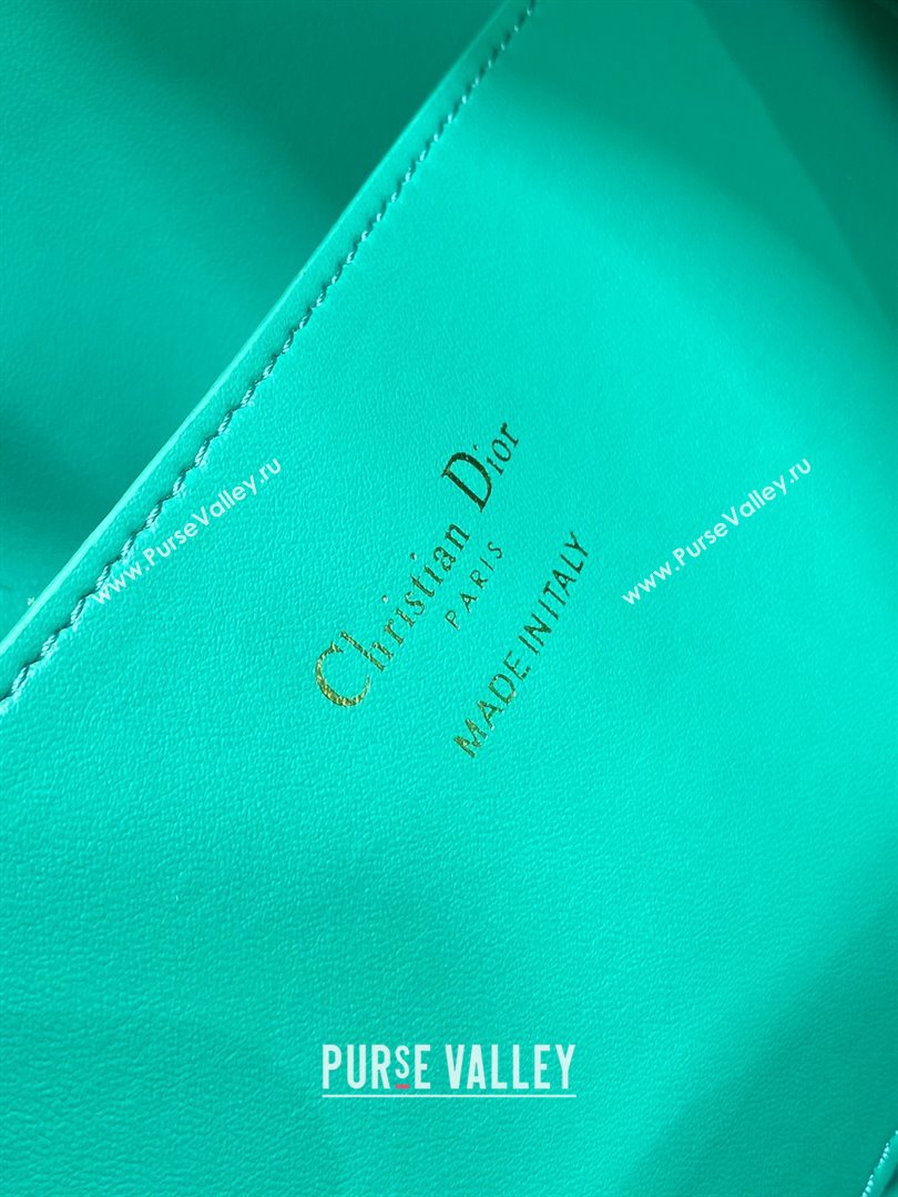 Dior Dioriviera Medium Dior Nolita Bag in Green Calfskin 2024 (XXG-24081427)