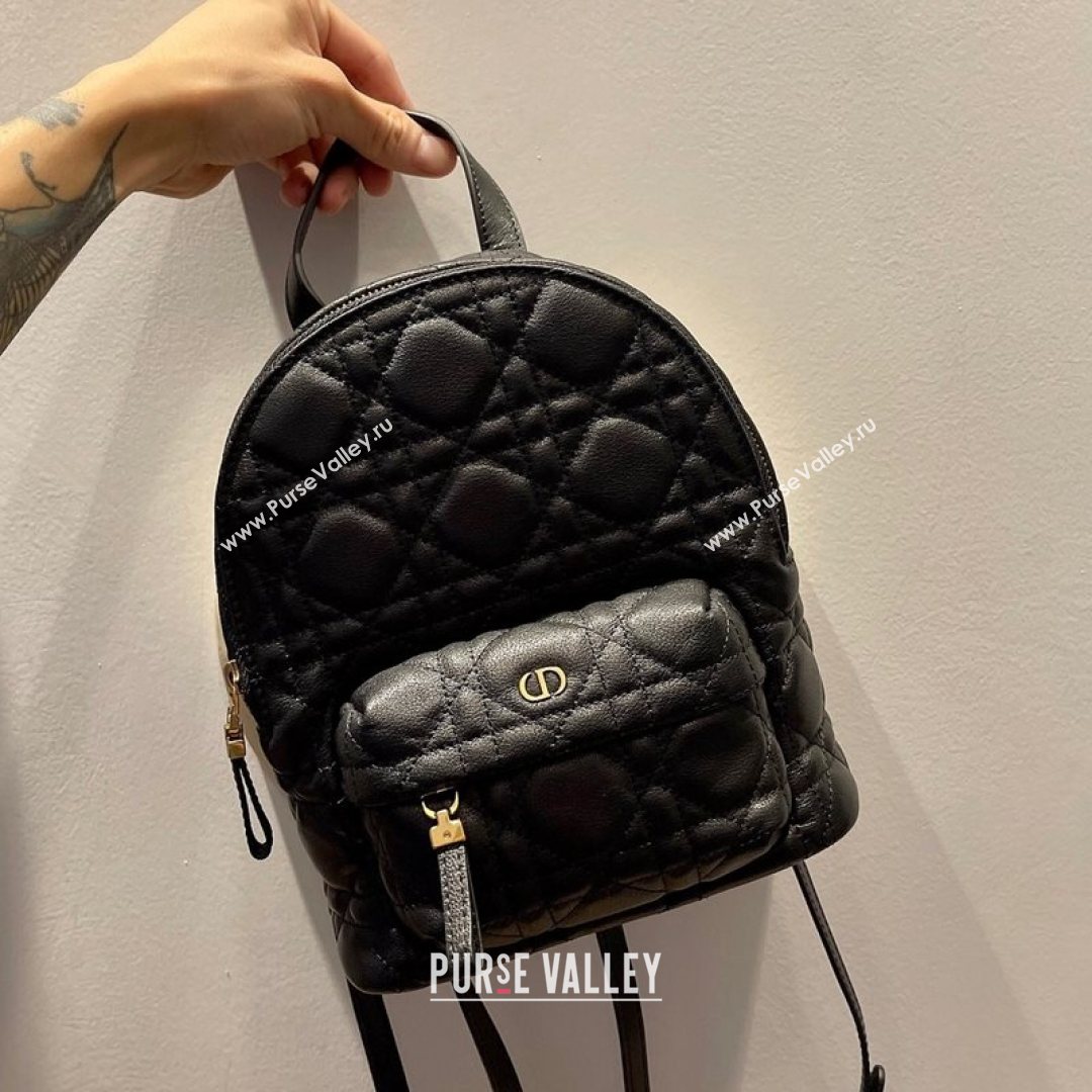 Dior Mini Backpack in Black Cannage Lambskin 2021 (XXG-21080333)