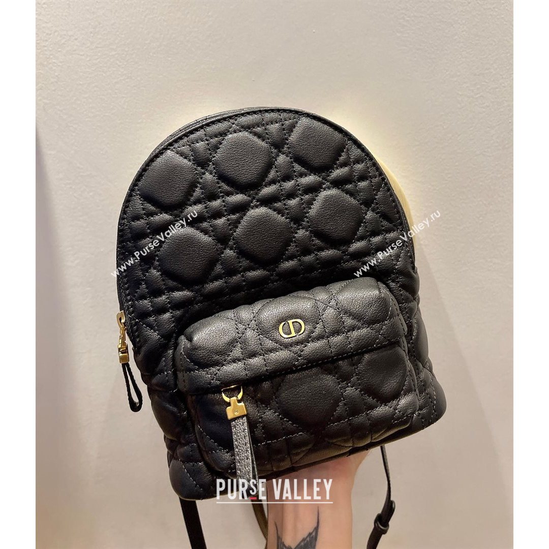 Dior Mini Backpack in Black Cannage Lambskin 2021 (XXG-21080333)