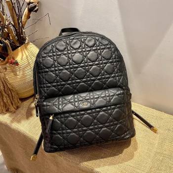 Dior Large Backpack in Black Cannage Lambskin 2021 (XXG-21080334)