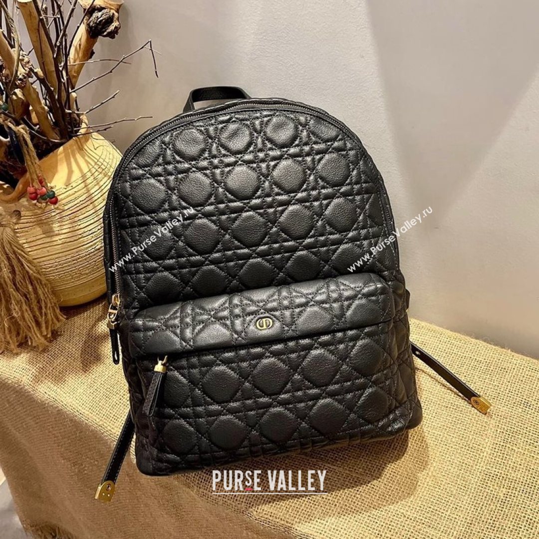 Dior Large Backpack in Black Cannage Lambskin 2021 (XXG-21080334)