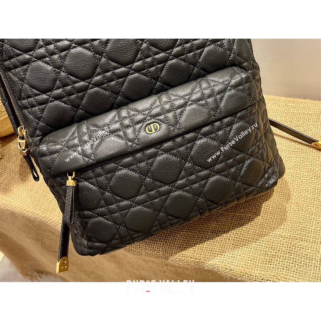 Dior Large Backpack in Black Cannage Lambskin 2021 (XXG-21080334)