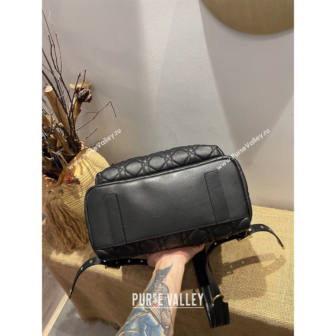 Dior Large Backpack in Black Cannage Lambskin 2021 (XXG-21080334)