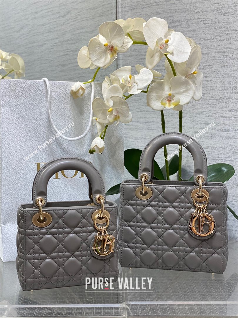 Dior Mini Lady Dior Bag in Etoupe Cannage Lambskin 2024 (XXG-24070303)