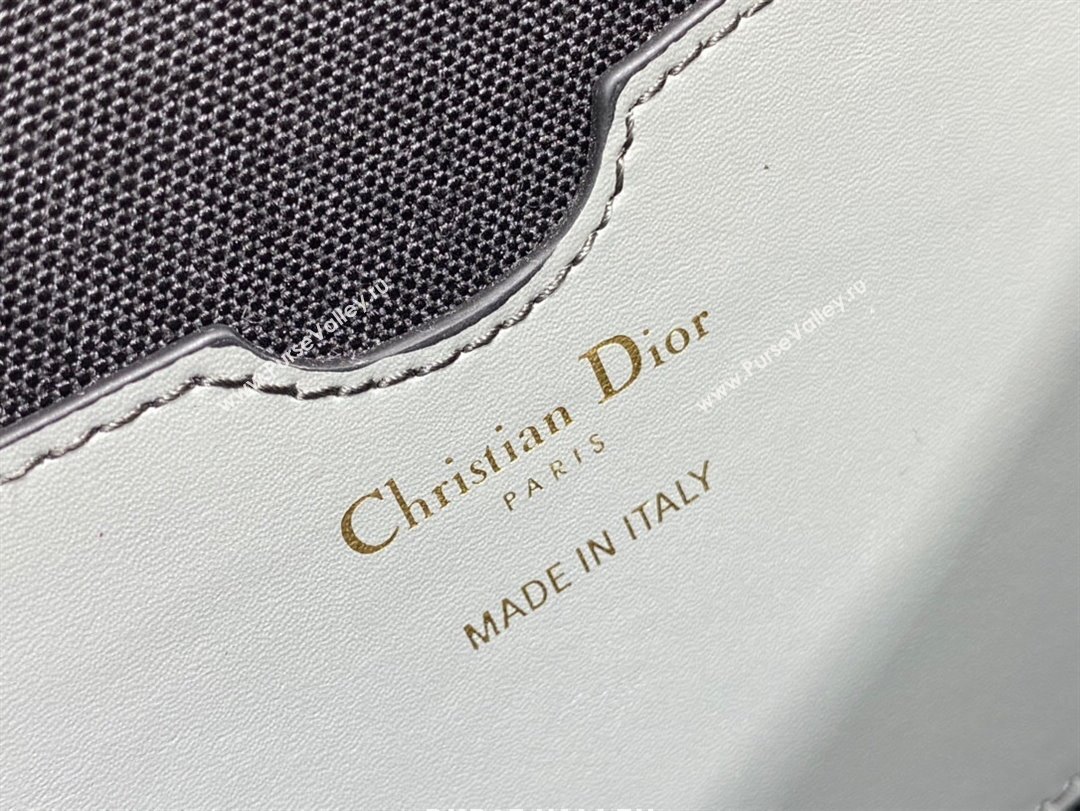 Dior Large Dior Bobby Bag in Grey Dior Oblique Jacquard 2024 (XXG-24031205)