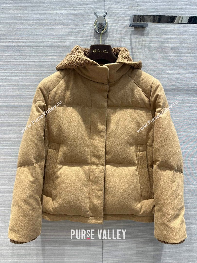 LP Down Jacket LP112730 Brown 2023 (Q-23112730)